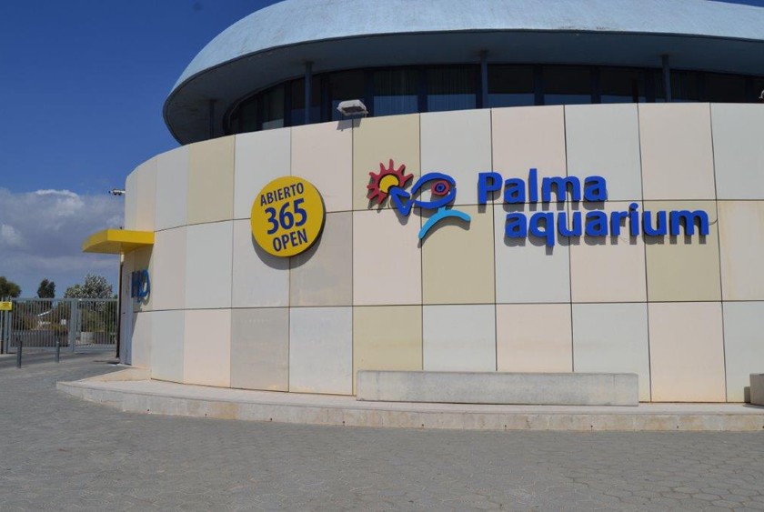 Palma Aquarium (aquarium et parc d'attractions)