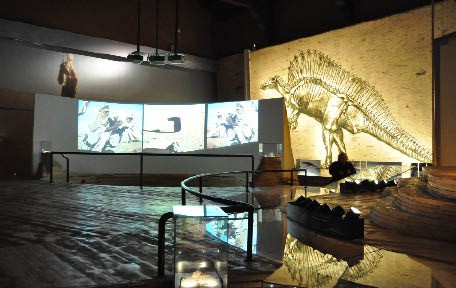 Museo di Storia Naturale (Musée d'histoire naturelle) (Complet)