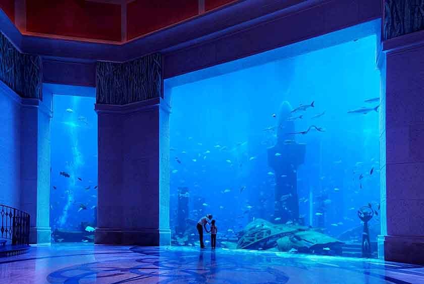 Ambassador Lagoon Aquarium (incl. dans le pass pour 2, 3 et 5 jours)