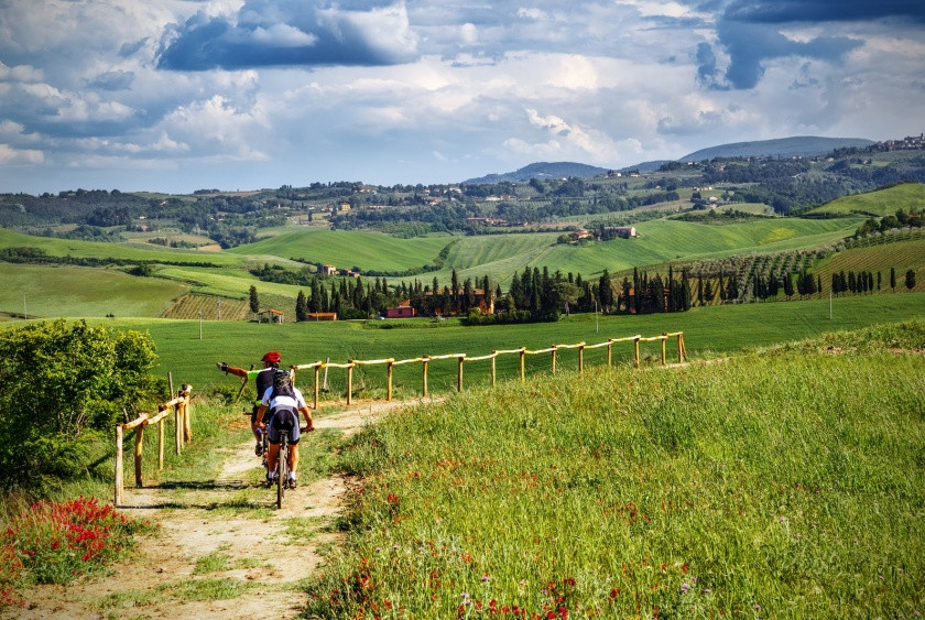 Excursion d'une journée : Tour en vélo électrique à travers la région du Chianti et dégustation de vin