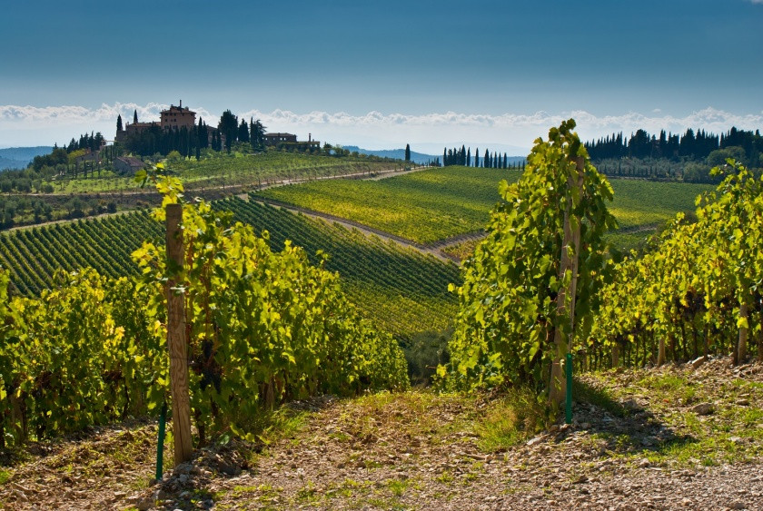 Réduction : excursion d'une journée à Montepulciano et Pienza avec dégustation de vin