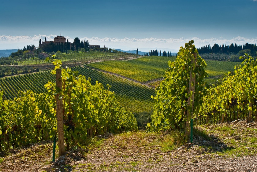 Réduction : Excursion d'une journée à Montepulciano et Pienza avec dégustation de vin