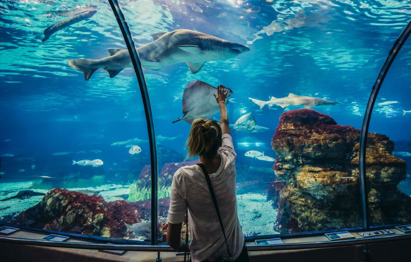 Aquarium de Barcelone