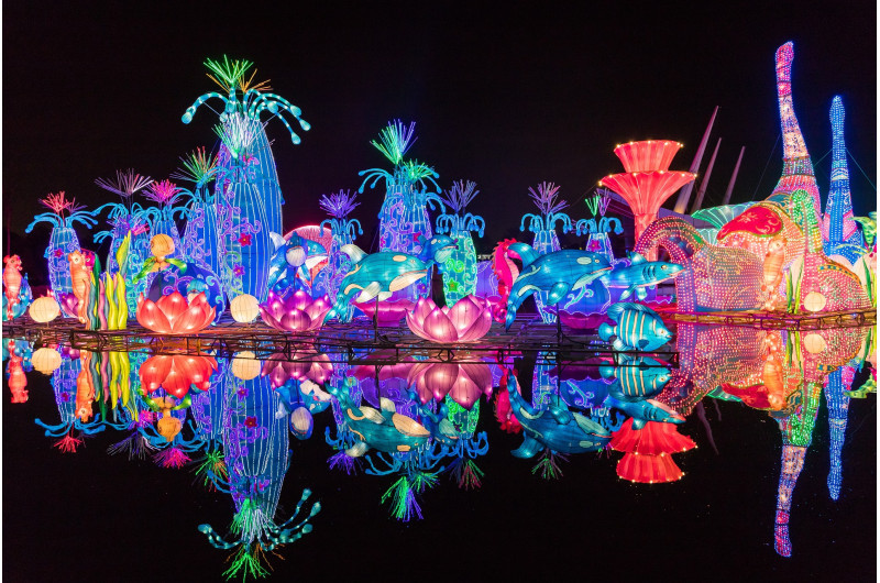 Dubaï Garden Glow 