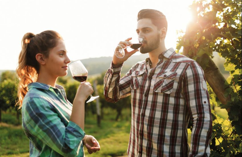 Excursion d’une demi-journée avec dégustation de vins dans la région du Chianti (30 % de réduction)
