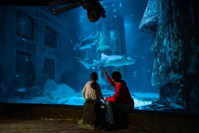 SEA Life Londres