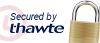 secure icon